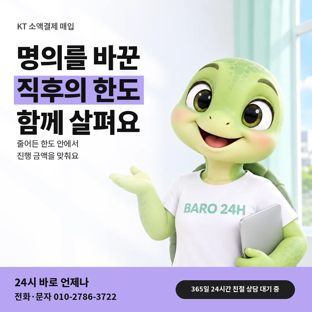 BARO 24H 티셔츠를 입은 3D 거북이 캐릭터 옆에 「KT 명의 변경 뒤 한도」 제목을 얹은 안내 카드